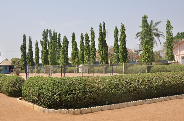 Queen of the Rosary Secondary School Gboko